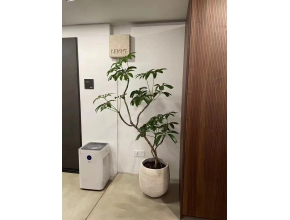 大葉傘