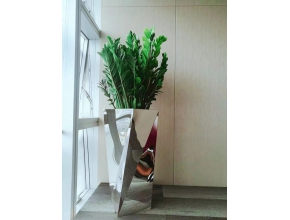 金錢樹