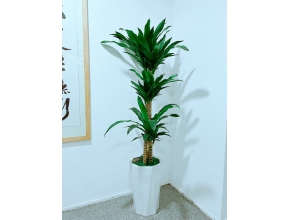 青鐵