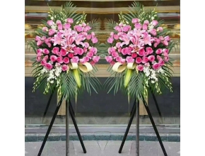 開業(yè)花籃、臺花及鮮切花