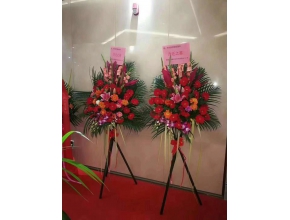 開業(yè)花籃、臺花及鮮切花