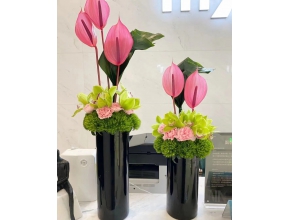 開業(yè)花籃、臺花及鮮切花